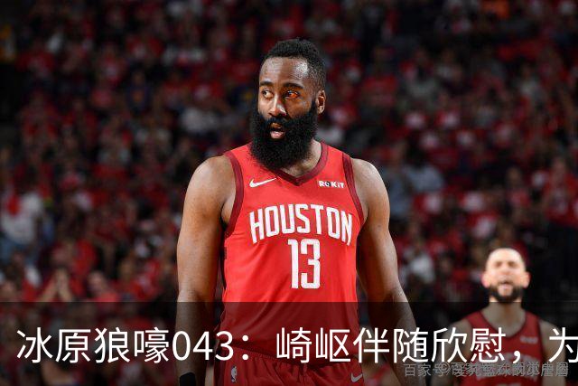 冰原狼嚎043：崎岖伴随欣慰，为爱发电，我们遗憾过吗？