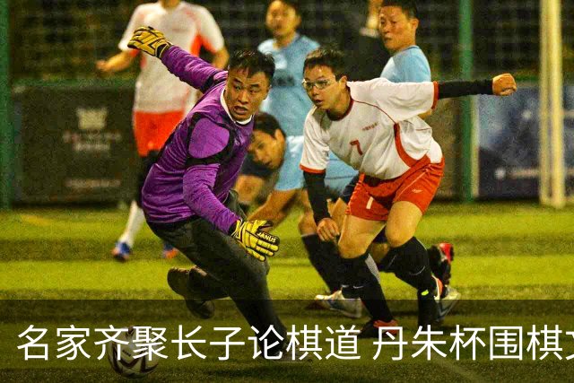名家齐聚长子论棋道 丹朱杯围棋文化活动精彩纷呈