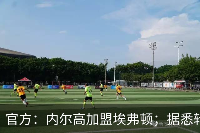 官方：内尔高加盟埃弗顿；据悉转会费700万镑