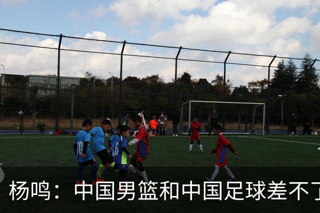 杨鸣：中国男篮和中国足球差不了太多，没有气场，失去了绝对优势